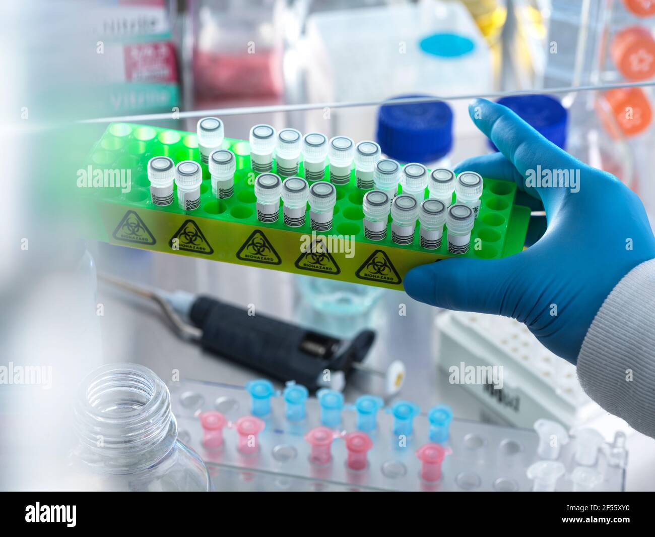 Scientist holding rack of DNA samples in fume hood at laboratory Stock Photo