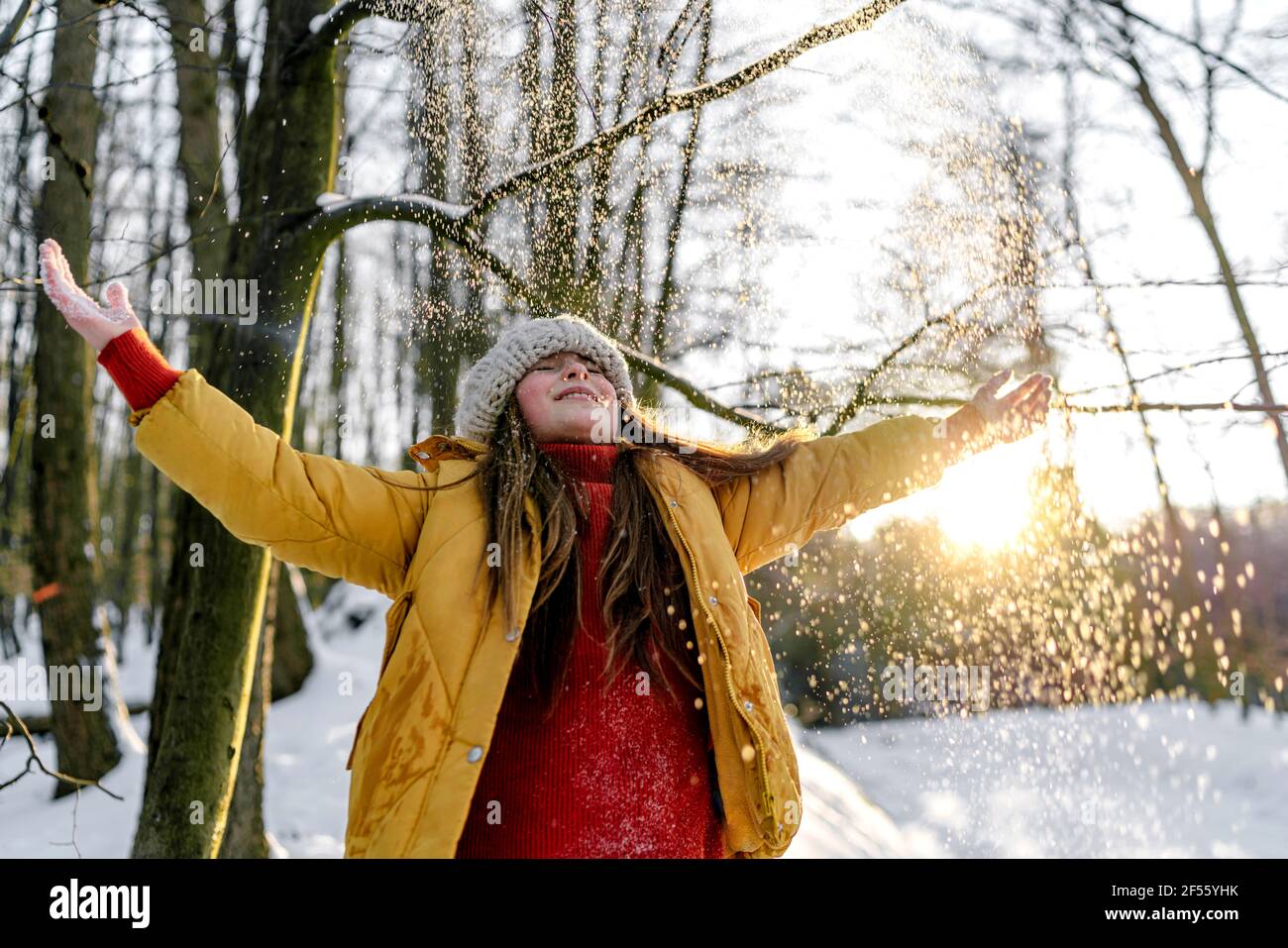 Tree during snowfall hi-res stock photography and images - Alamy