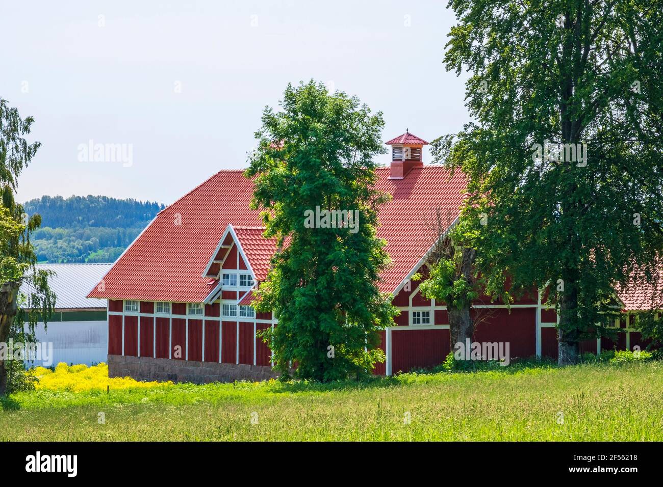 Agriculture barn greenery hi-res stock photography and images - Alamy