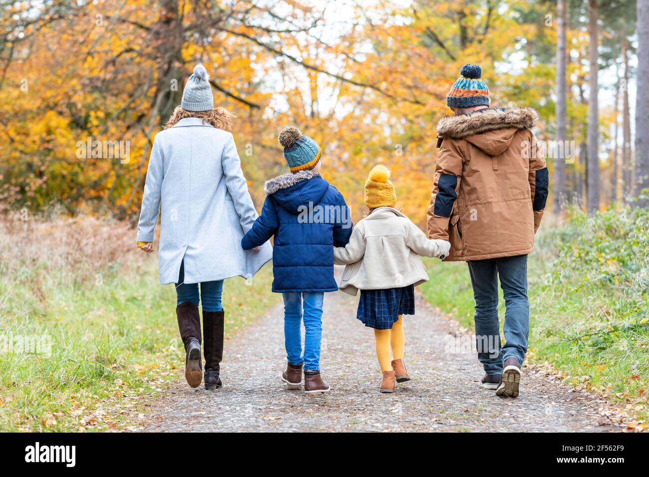 Children holding hands of parents while walking on forest path Stock ...