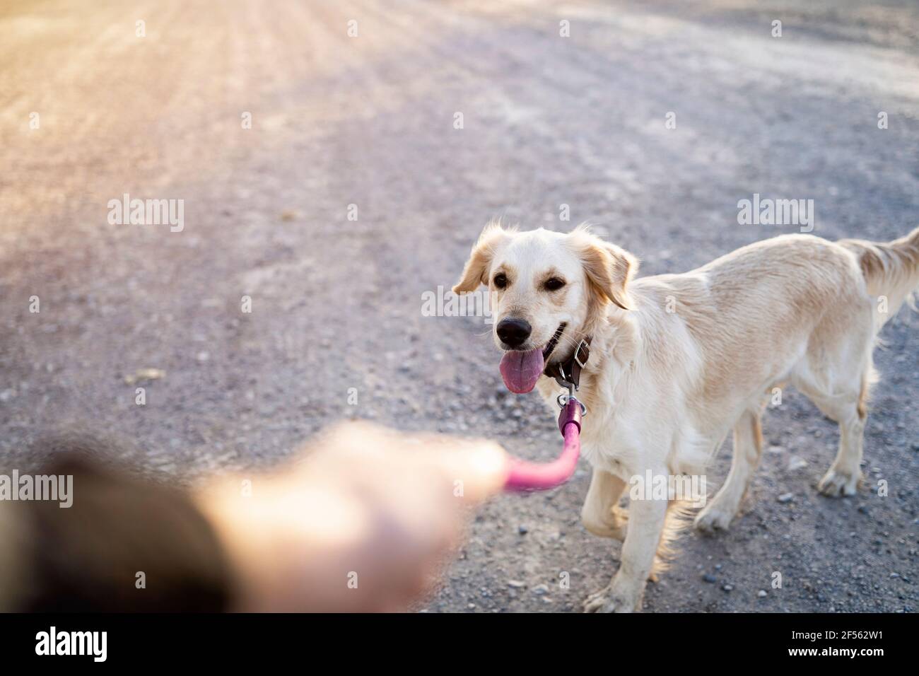 Leisure activity holding transportation hires stock photography and