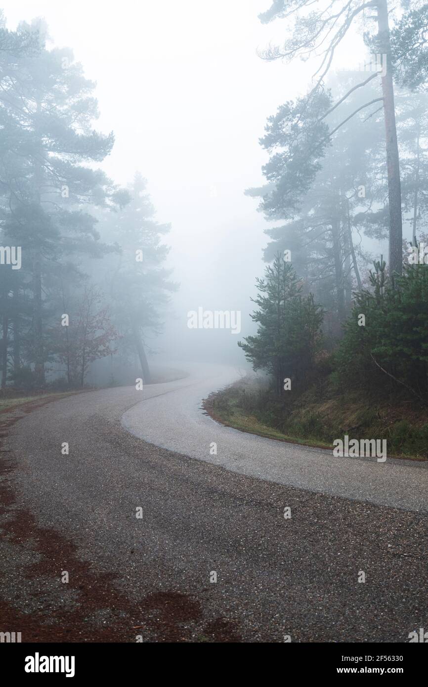 Misty forest road hi-res stock photography and images - Alamy