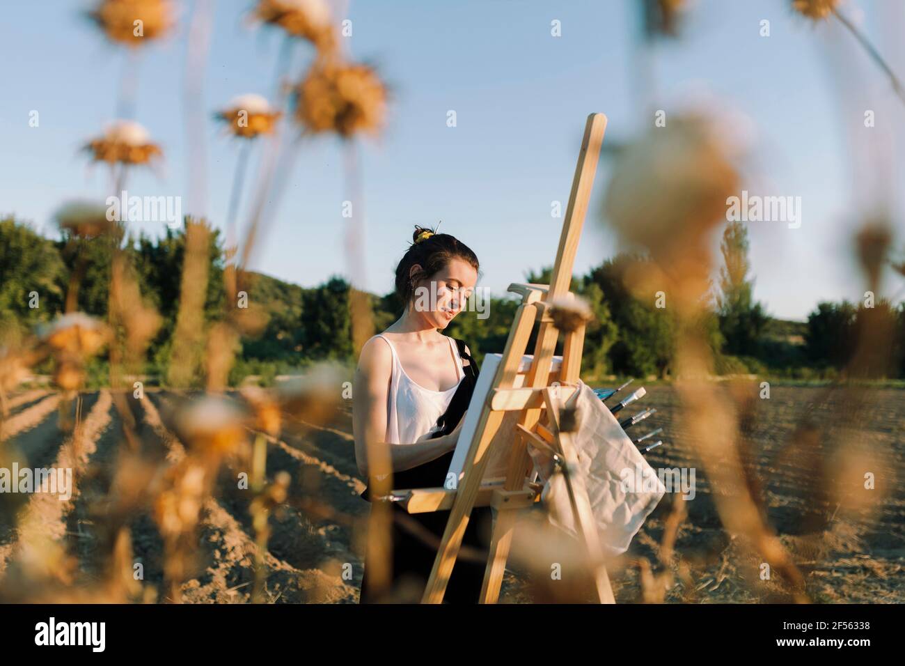 Young woman artist painting on easel Stock Photo - Alamy