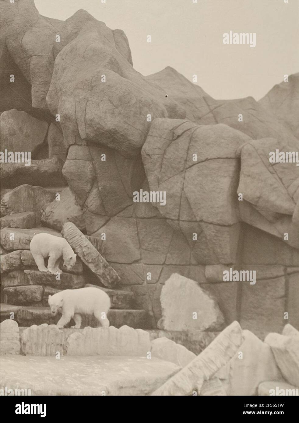 Nordland Panorama 'in Carl Hagenbeck's Animal Park, Stellingen. State state view Hamburg, collection of photography history Stock Photo