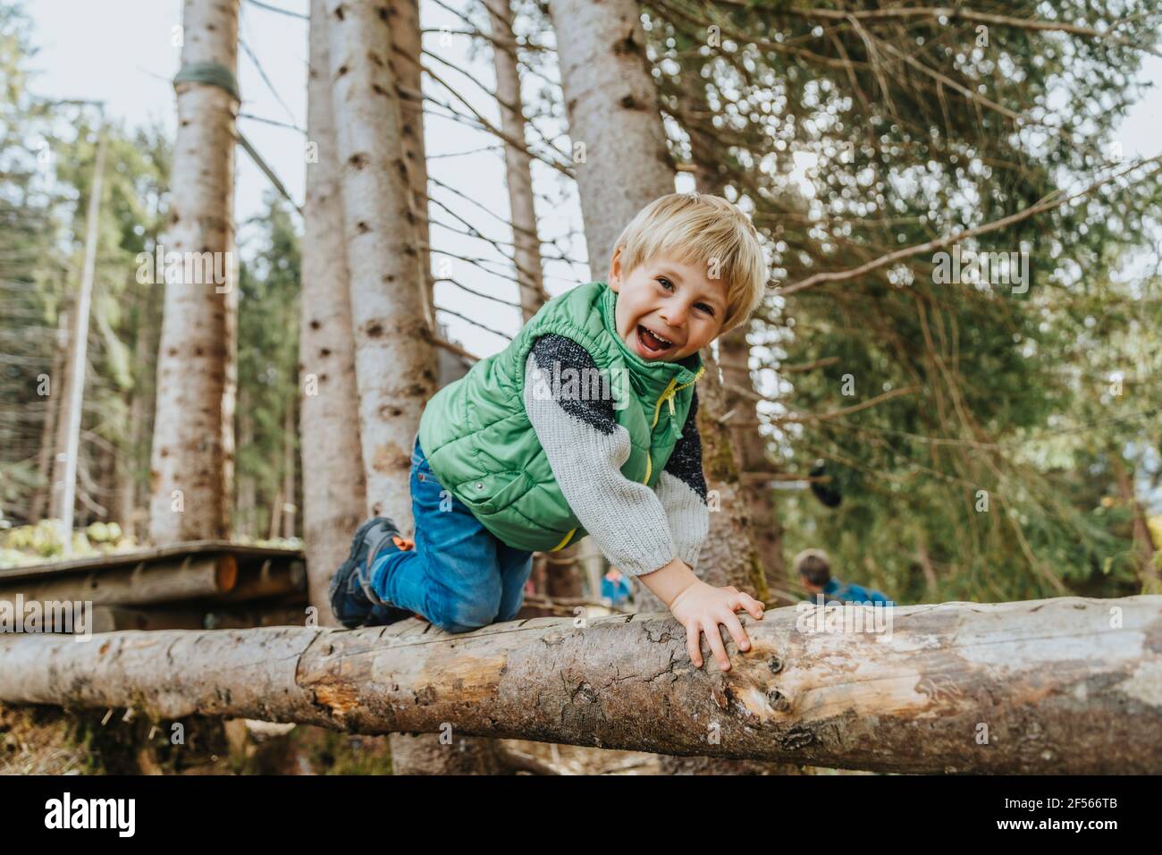 Playful boy crawling on log in forest at Salzburger Land, Austria Stock Photo