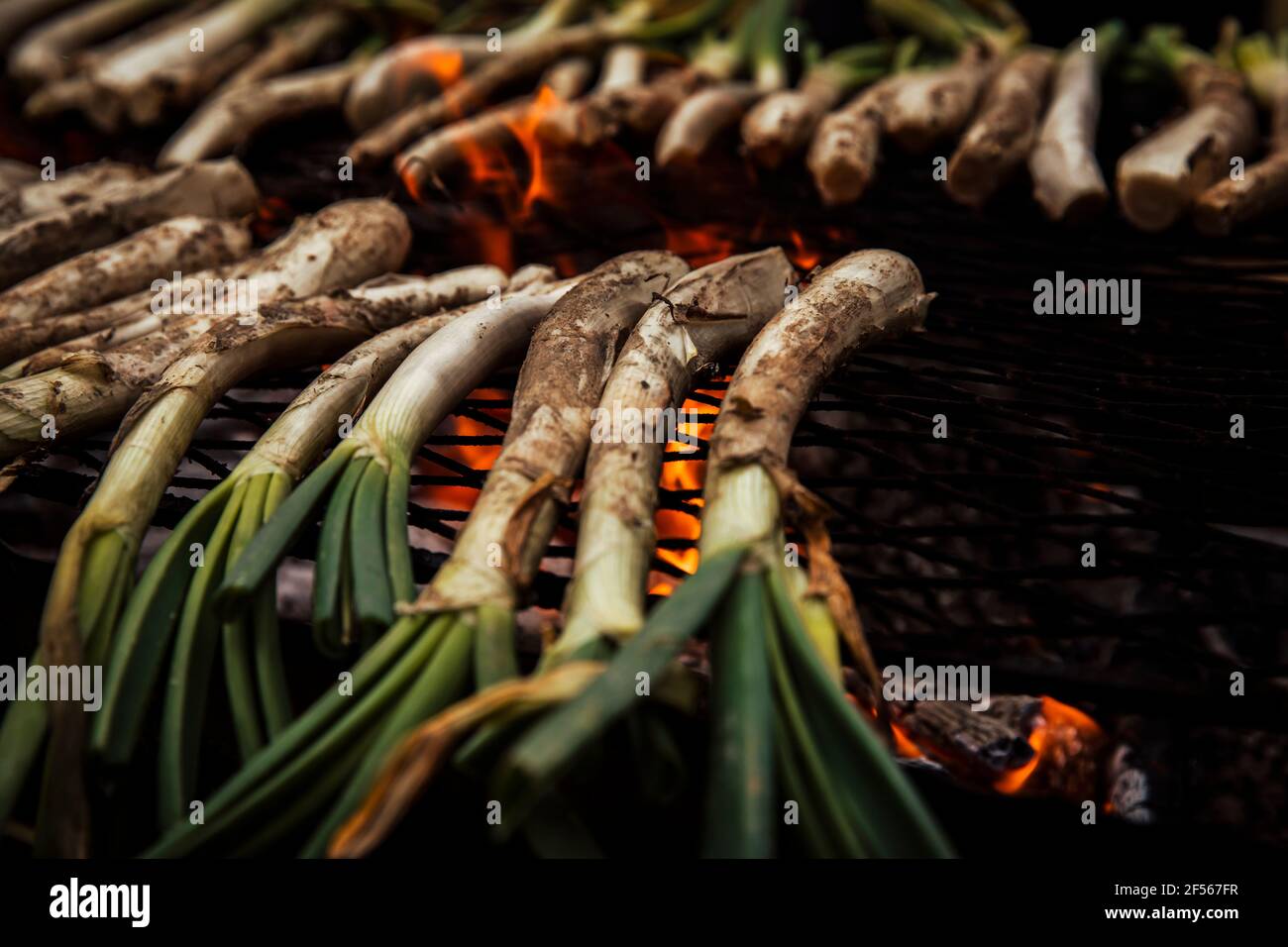 Close-up of scallions on barbecue grill outdoors Stock Photo