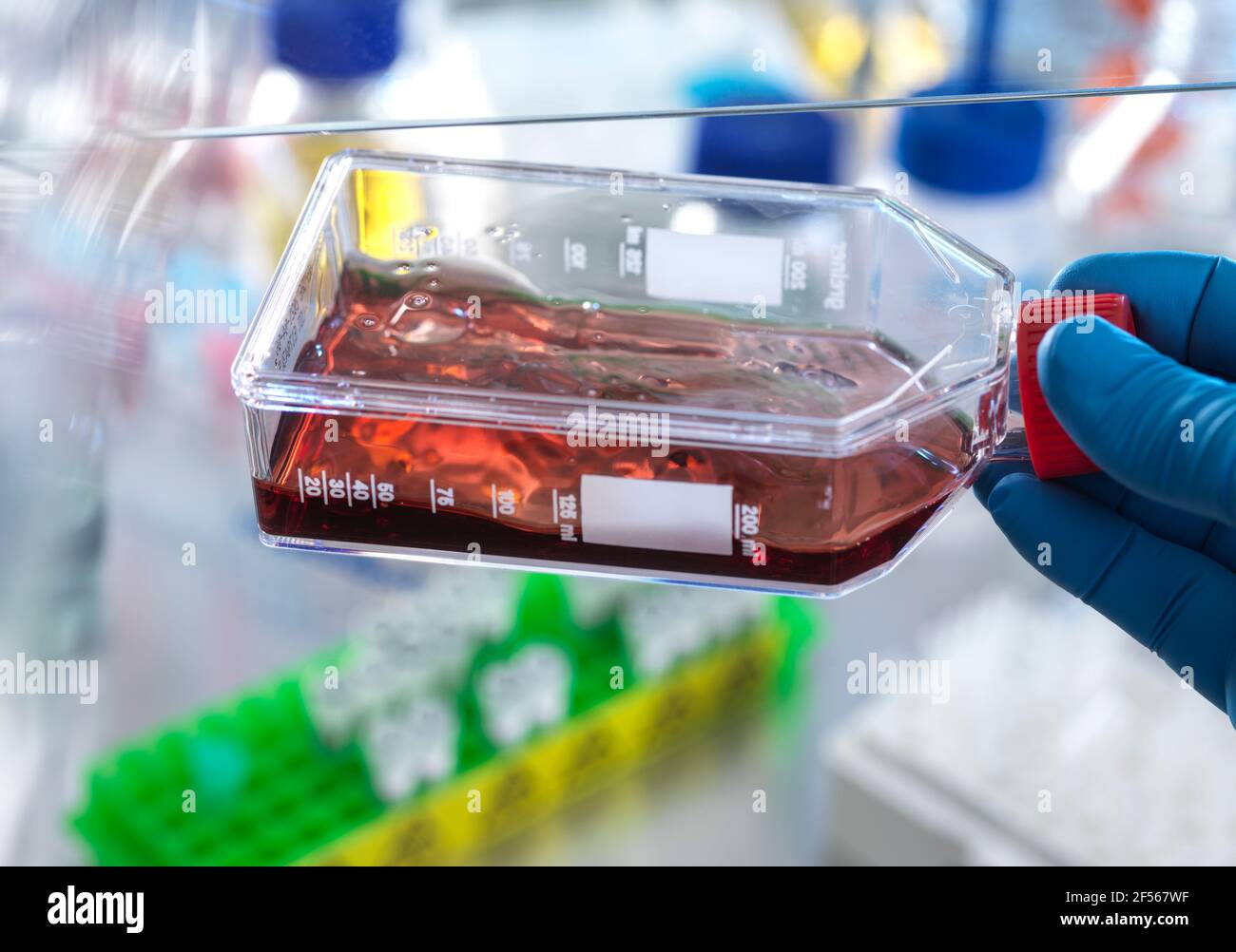 Scientist holding jar containing blood cells while doing experiment in laboratory Stock Photo