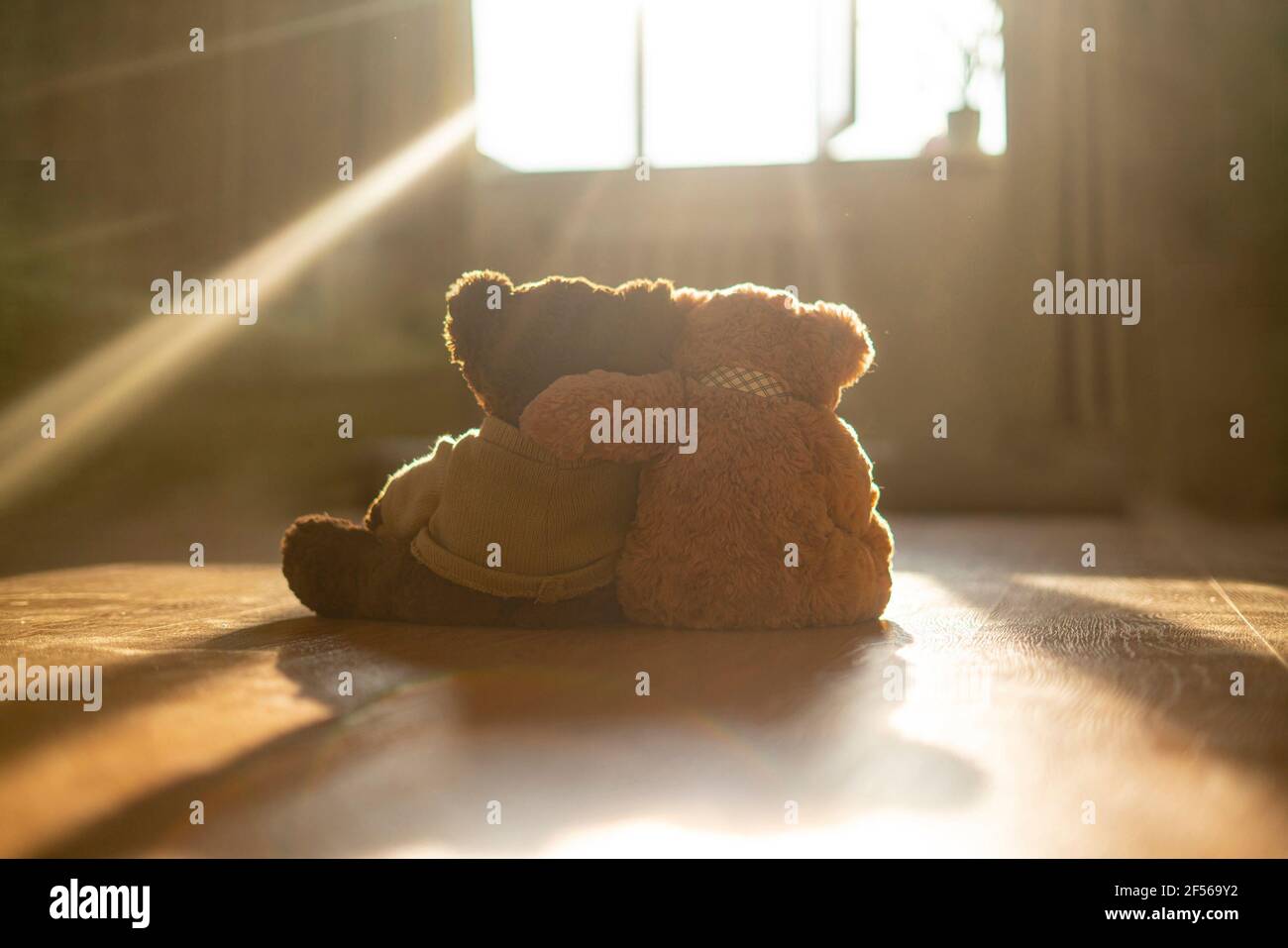 a couple of two teddy bears hug each other, love feelings concept Stock