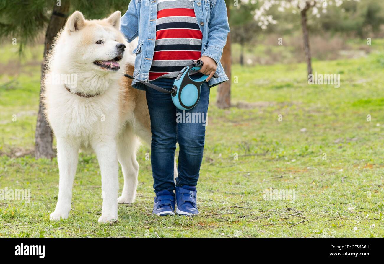 Boy holding pet leash by dog in nature Stock Photo Alamy