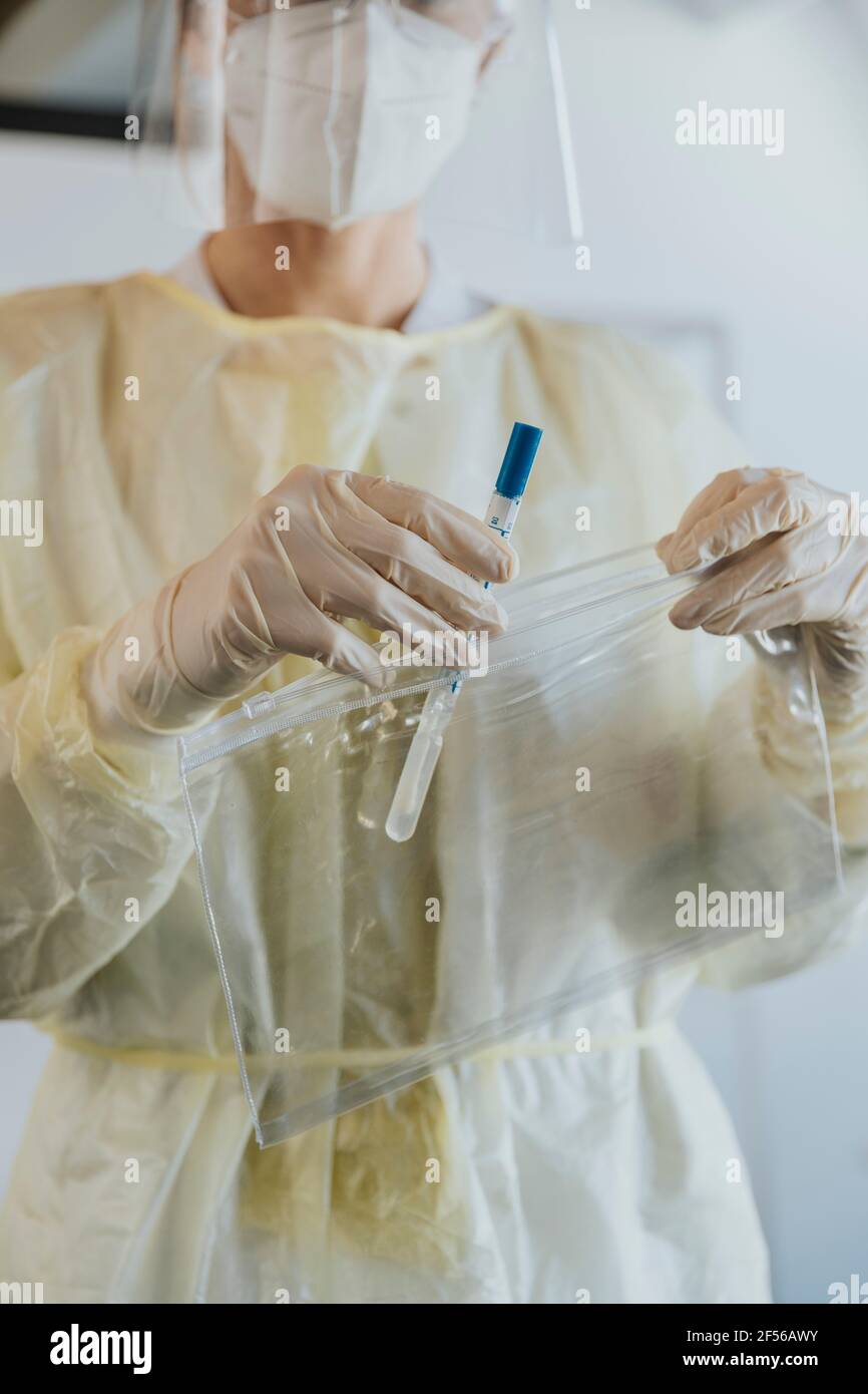 Female doctor in protective workwear collecting nasal swab sample in plastic bag while standing at examination room Stock Photo