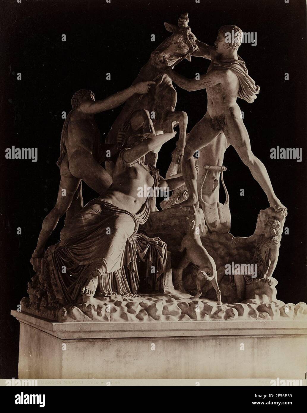 1501 Museum of Naples - Toro Farnese. . Stock Photo