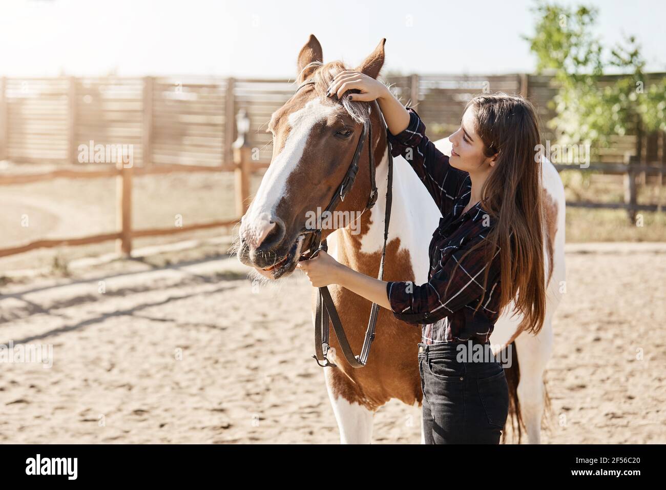 Beautiful female farm manager taking care and petting a horse Stock