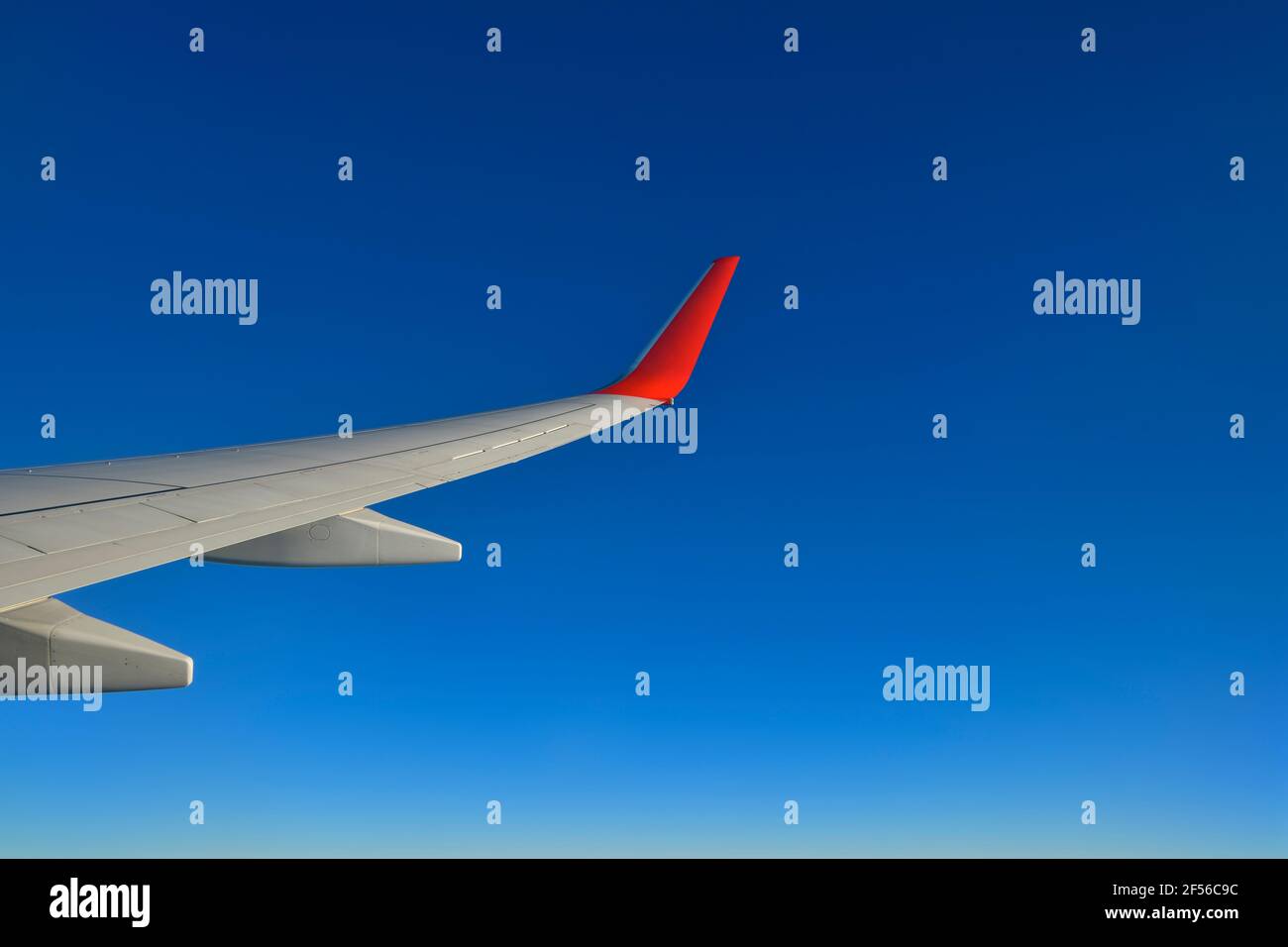 Clear wing hi-res stock photography and images - Alamy
