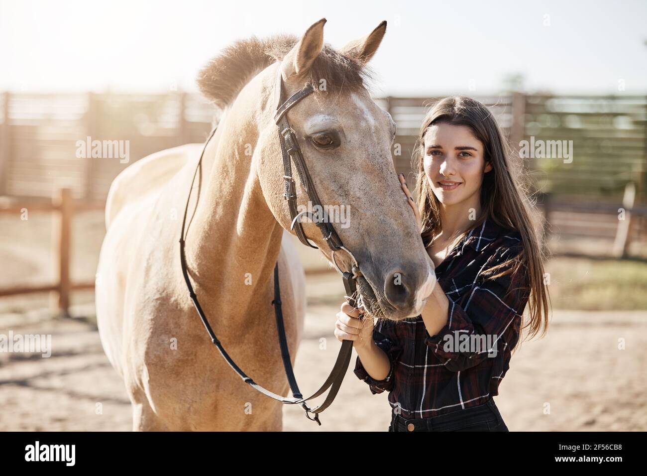 Young woman vet calming down a stallion to make injections. Stock Photo