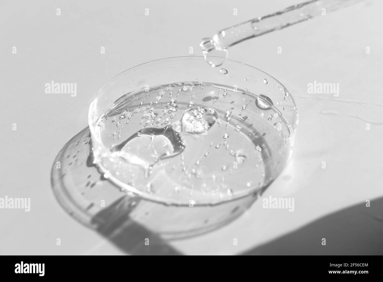 Liquid gel or hyaluronic serum acid in petri Stock Photo