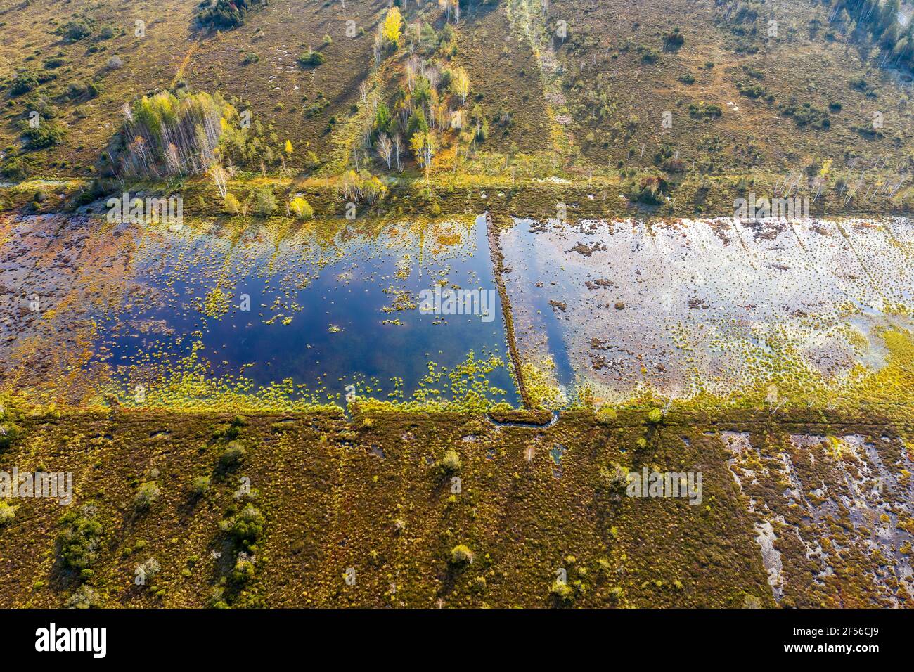 Germany, Bavaria, Konigsdorf, Aerial view of wetland Stock Photo