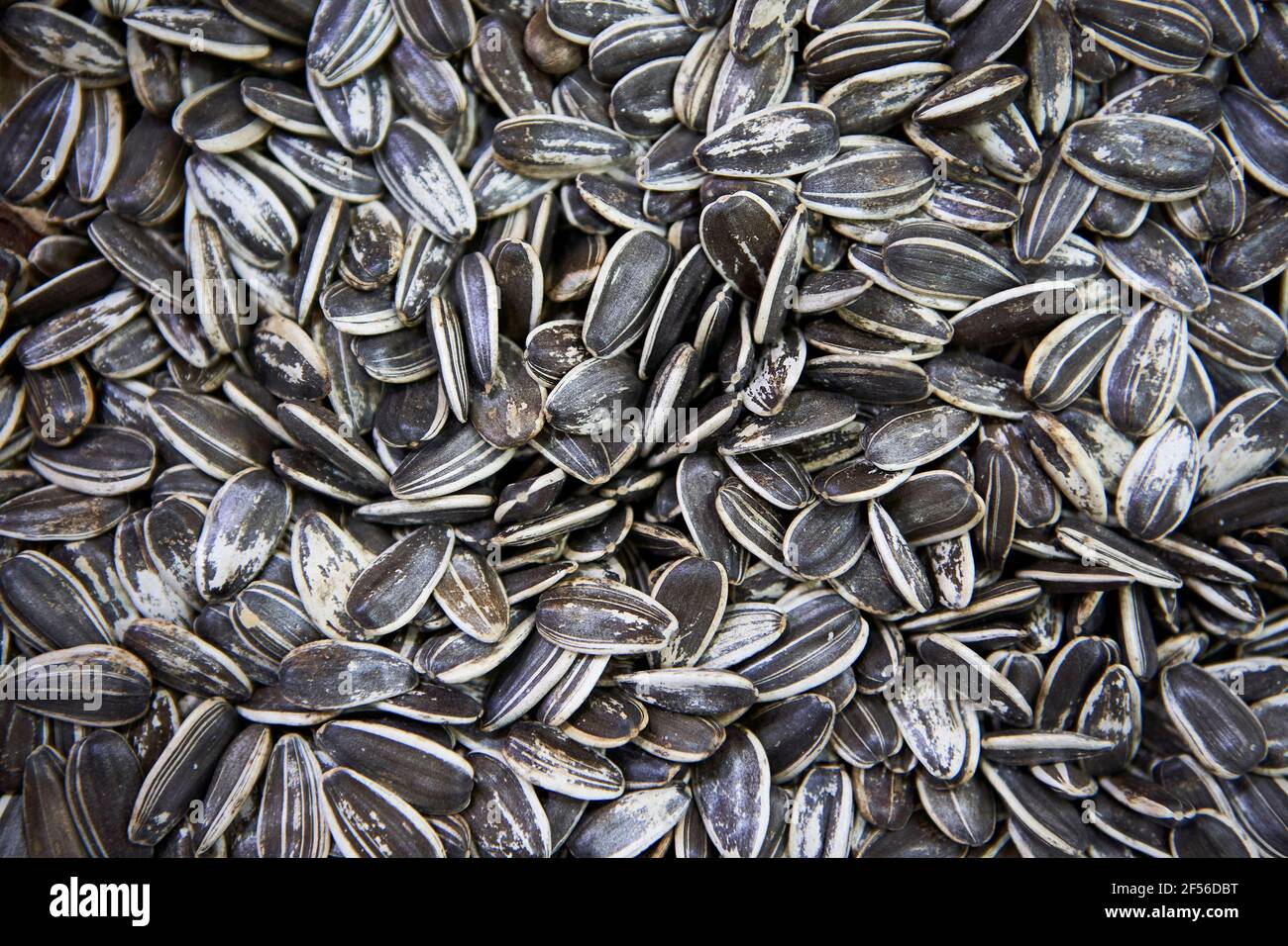 Fresh sunflower seeds at store Stock Photo Alamy