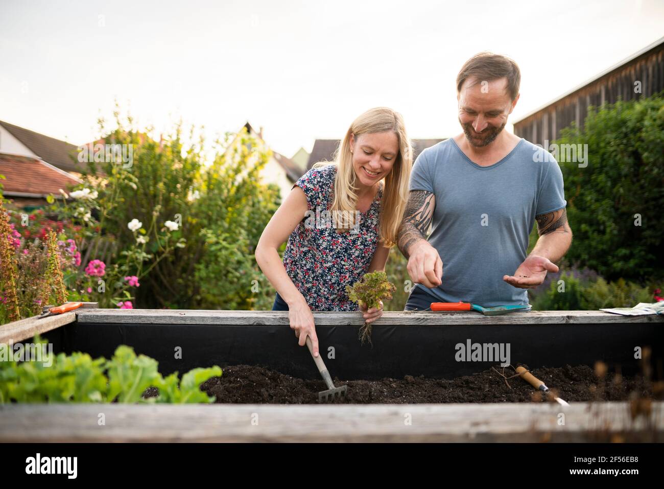 Woman sowing seed while planting in garden with boyfriend Stock Photo