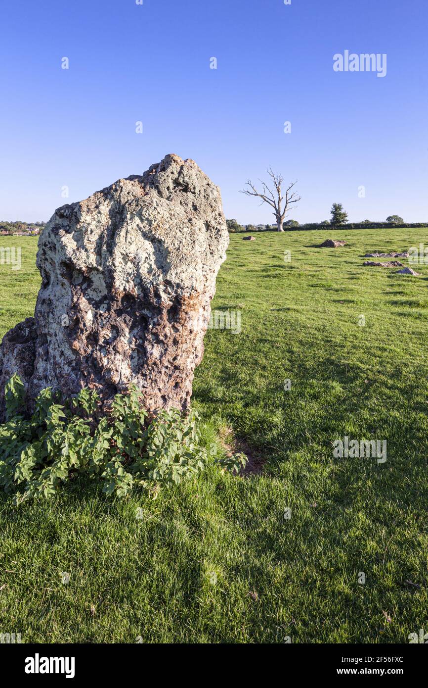 Stanton Drew Stone Circle (the second largest stone circle in Britain) dating from 3000-2000BC near Stanton Drew, Somerset UK Stock Photo