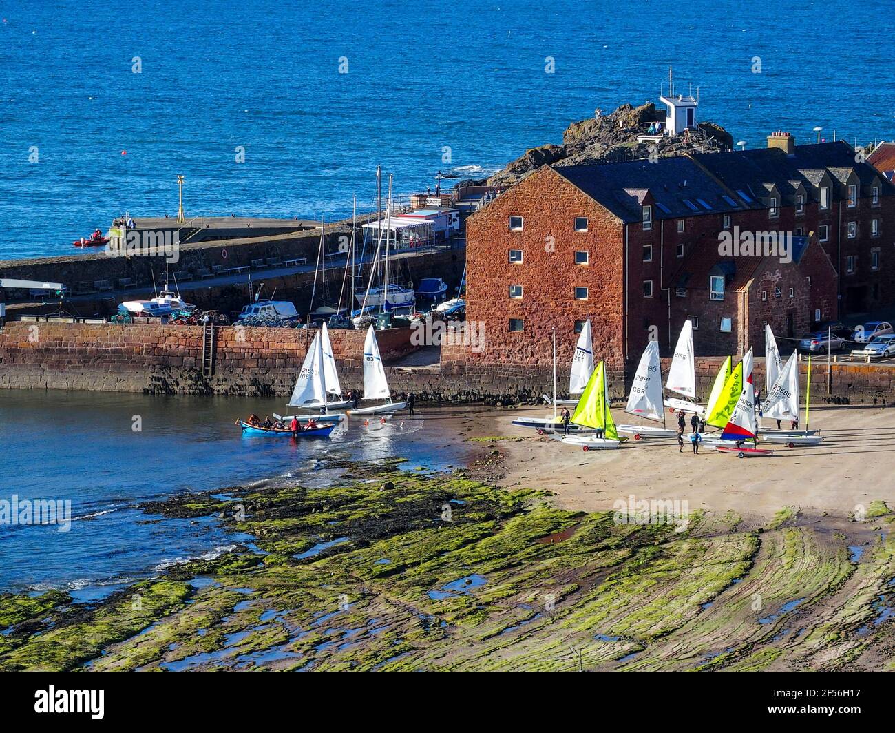 Sailing dinghies and the Harbour, North Berwick taken from St Andrew