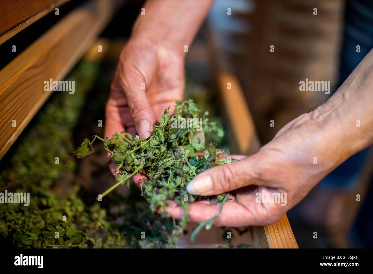 Woman over 65 hi-res stock photography and images - Alamy
