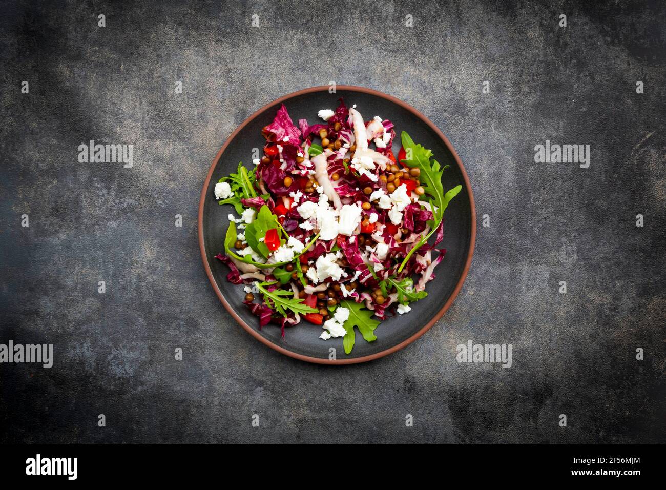 Studio shot of plate of vegetarian salad with lentils, arugula, feta cheese, radicchio and bell pepper Stock Photo
