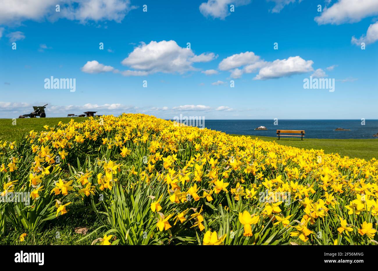 Dunbar, East Lothian, Scotland, United Kingdom, 24th March 2021. UK