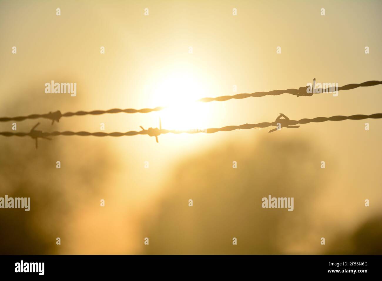 Blurred barbed wire fence silhouette at orange sunset, with sun as a ...