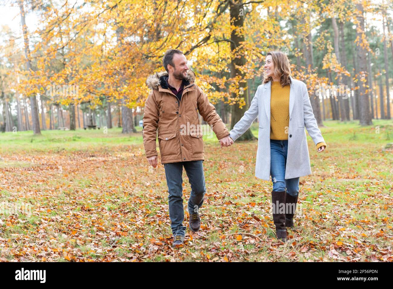 Couple holding hands while walking in forest Stock Photo - Alamy
