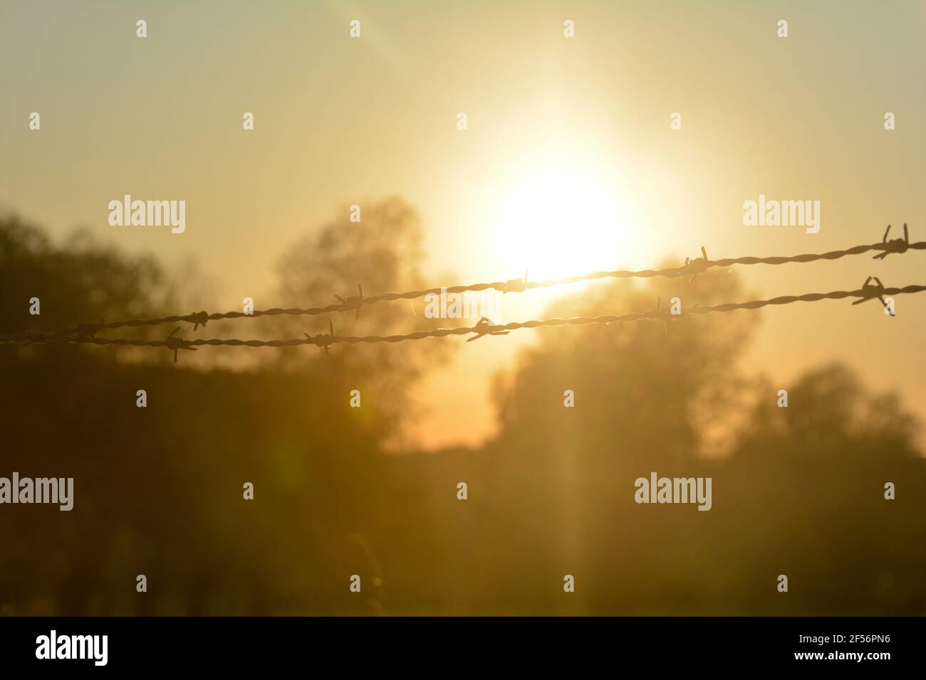 Blurred barbed wire fence silhouette at orange sunset, with sun as a ...