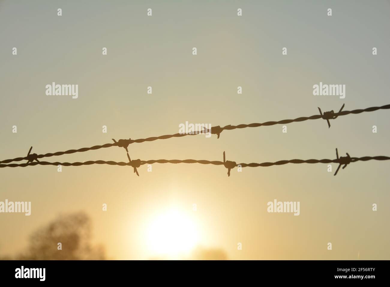 Blurred barbed wire fence silhouette at orange sunset, with sun as a ...