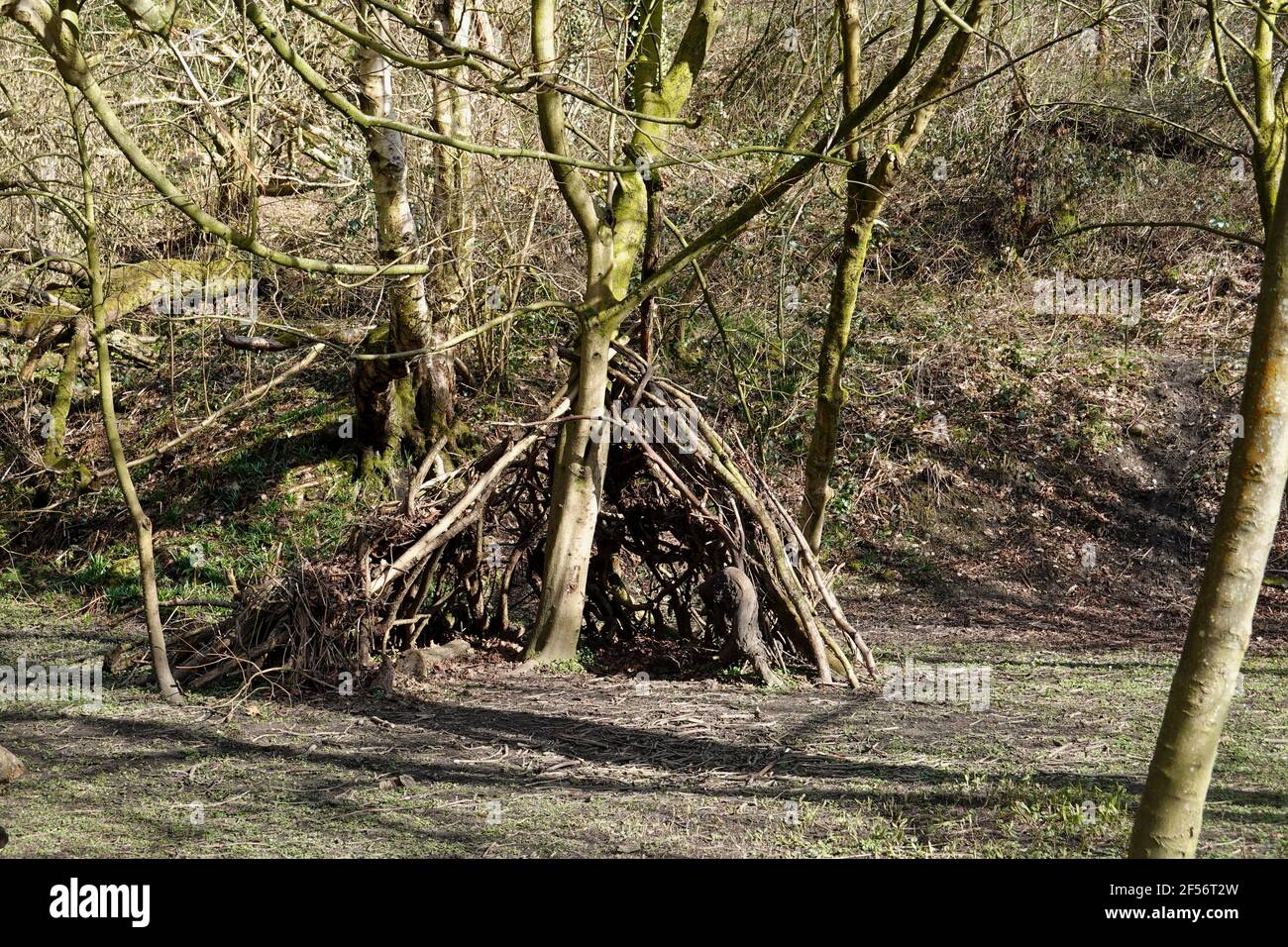 A den made from branches next to the River Goyt in New Mills ...