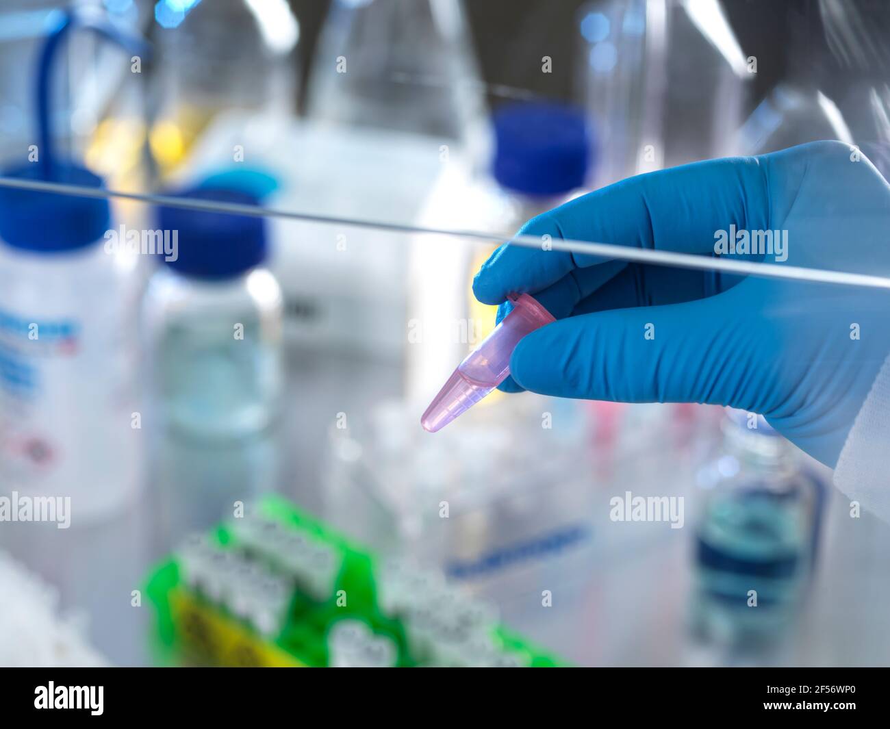 Scientist holding vial containing chemical formula ready for analysis in fume hood Stock Photo