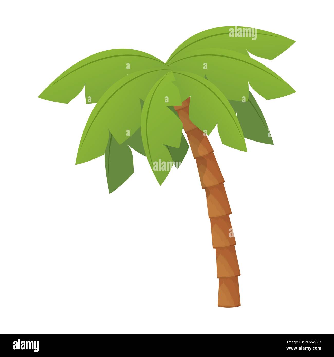 Palm tree with foliage in cartoon style isolated on white background