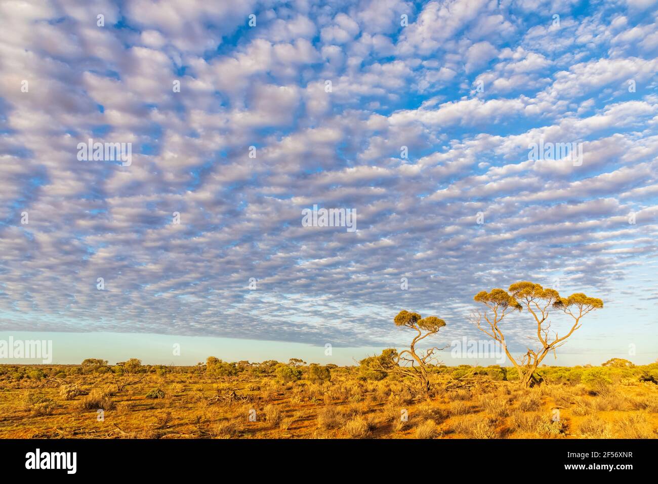 Australia, South Australia, View from Stuart Highway at white fluffy clouds over plain Stock Photo