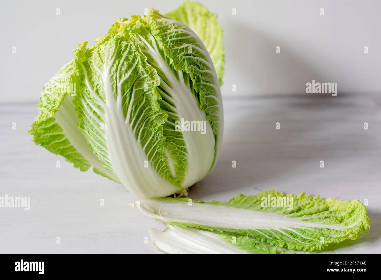 Organic Chinese leaf Cabbage Stock Photo
