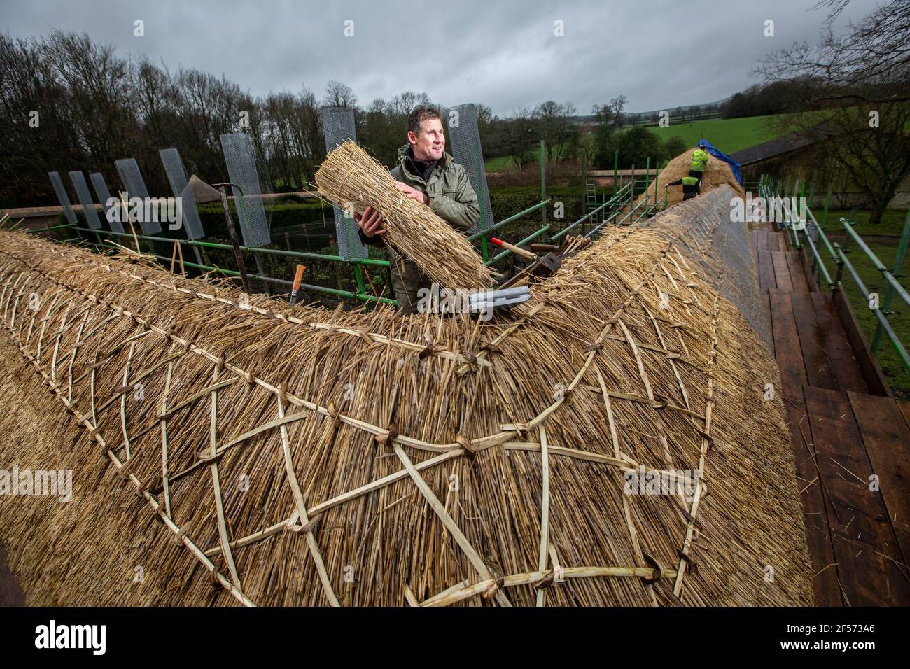 Master Thatcher, Adam Nash professional roof thatcher fits 'Hazel Spars' to fix coat work and straw on the roof of a walled garden, Wiltshire, England. Stock Photo