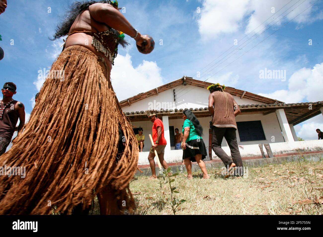 Pau Brasil Bahia fonte: c8.alamy.com Fonte: c8.alamy.com