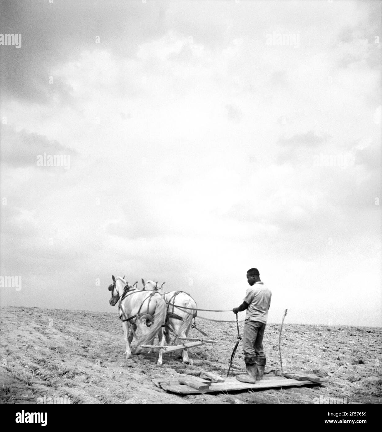 Farmer working in Field, Submarginal Area of Rumsey Hill, near Erin, New York, USA, Jack Delano, U.S. Farm Security Administration, September 1940 Stock Photo