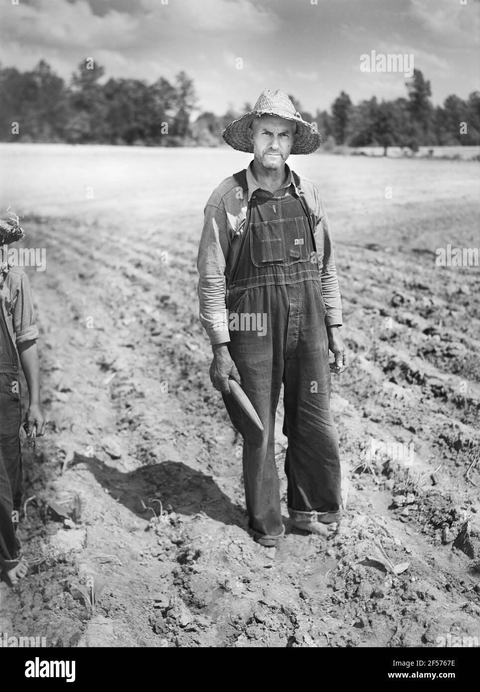 Forty acre farm hires stock photography and images Alamy