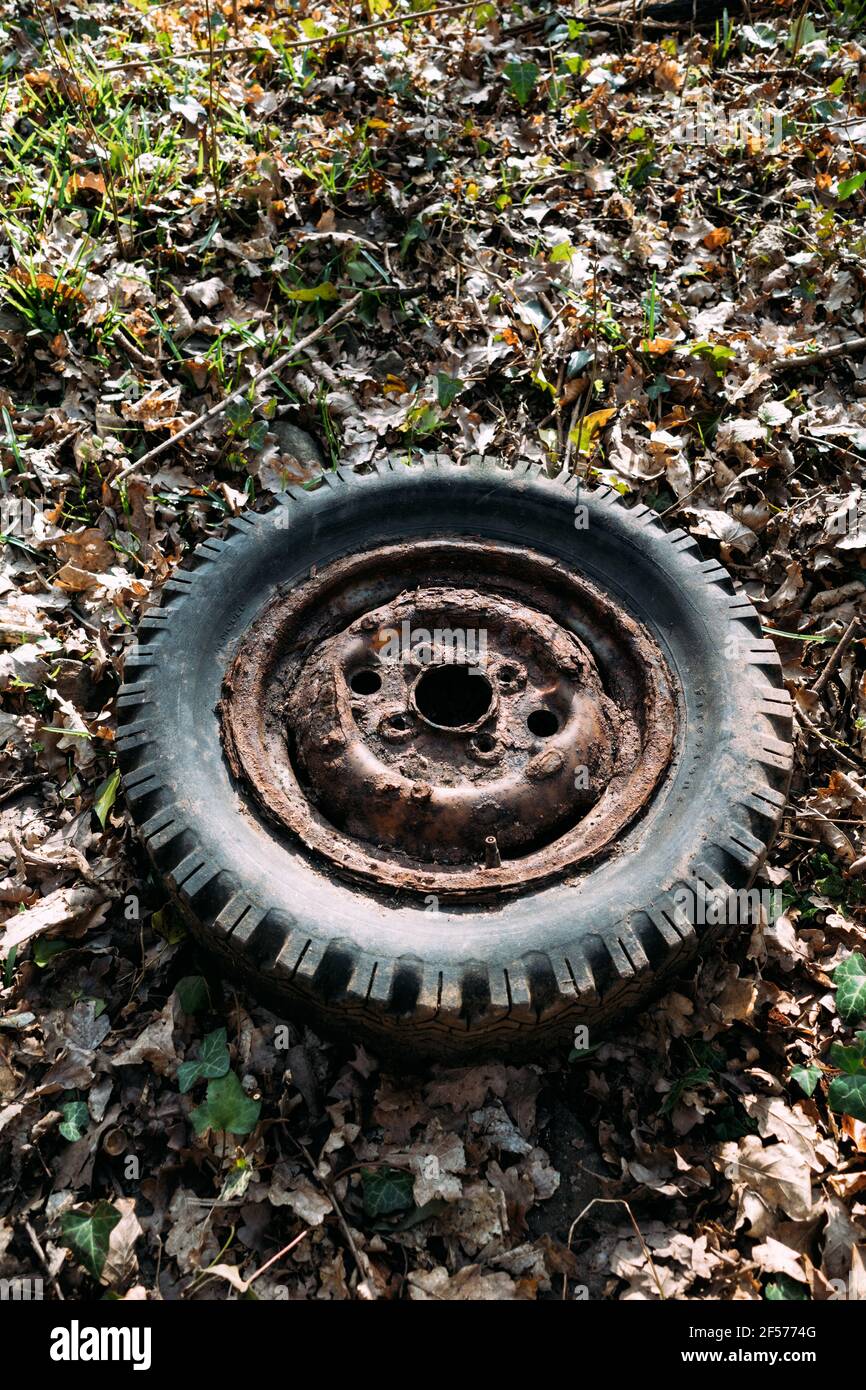 Small old truck wheel dumped in the woods (Mar 2021) Stock Photo