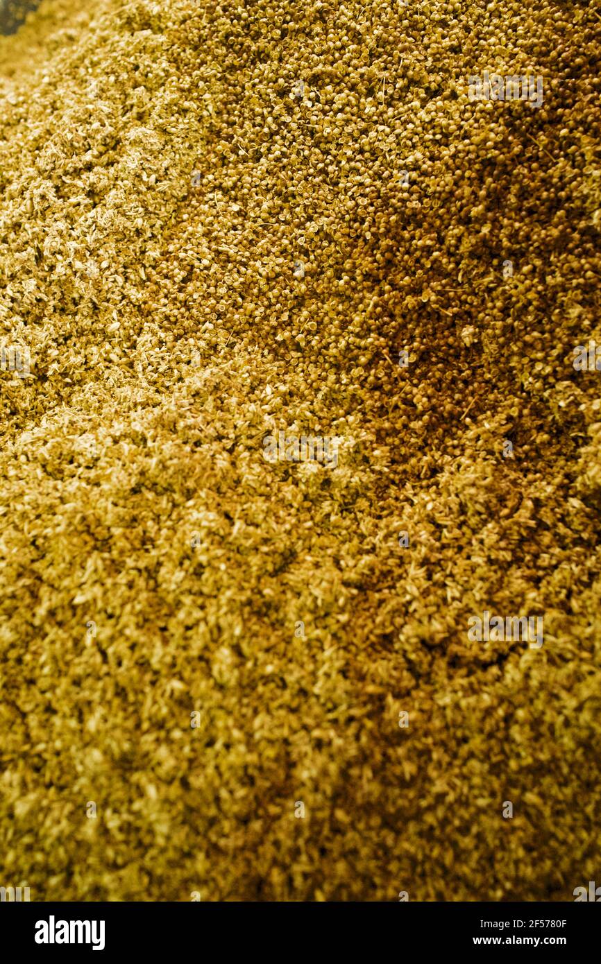 Bulk hops at the River Horse Brewing Co. in New Jersey.  Brewery Tours, display of bulk hops ready to be used in the beer making process. Stock Photo