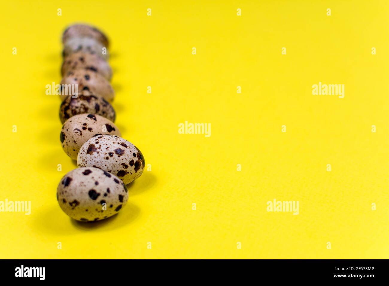 Quail eggs lie in a row on a yellow background. Healthy eating. Place for an inscription. Selective focus, defocus. Stock Photo