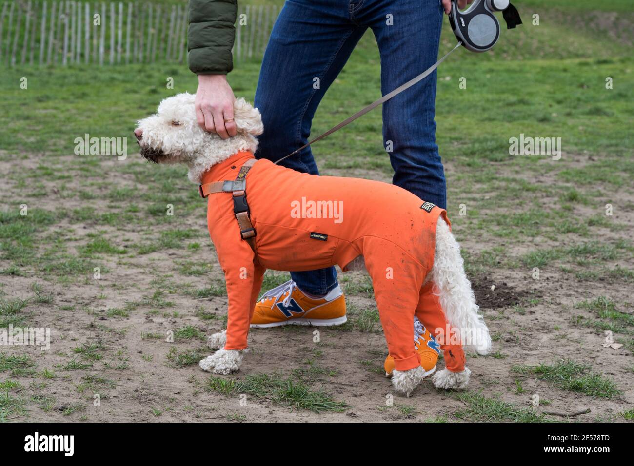 orange dog fleece