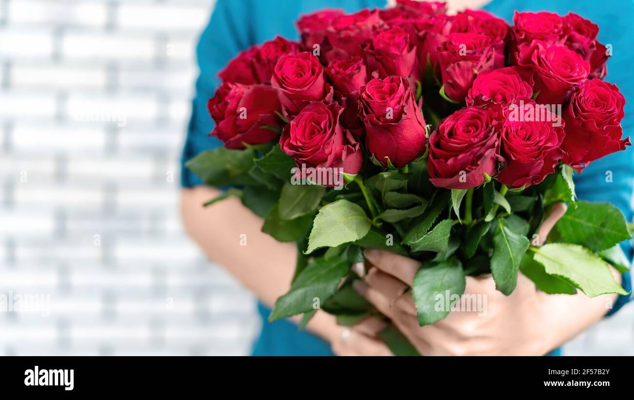 The Girl Holds In Her Hands A Gorgeous Bouquet Of Red Roses On A White Background Banner For Advertising Flower Delivery With Copy Space Gift On A D Stock Photo Alamy