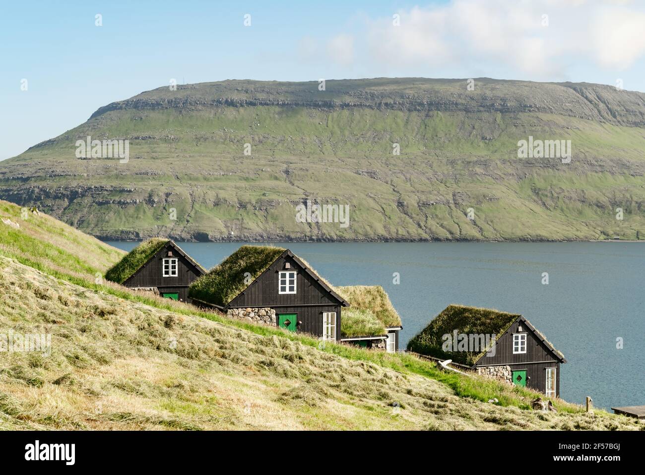 Picturesque view of tradicional faroese grasscovered houses Stock
