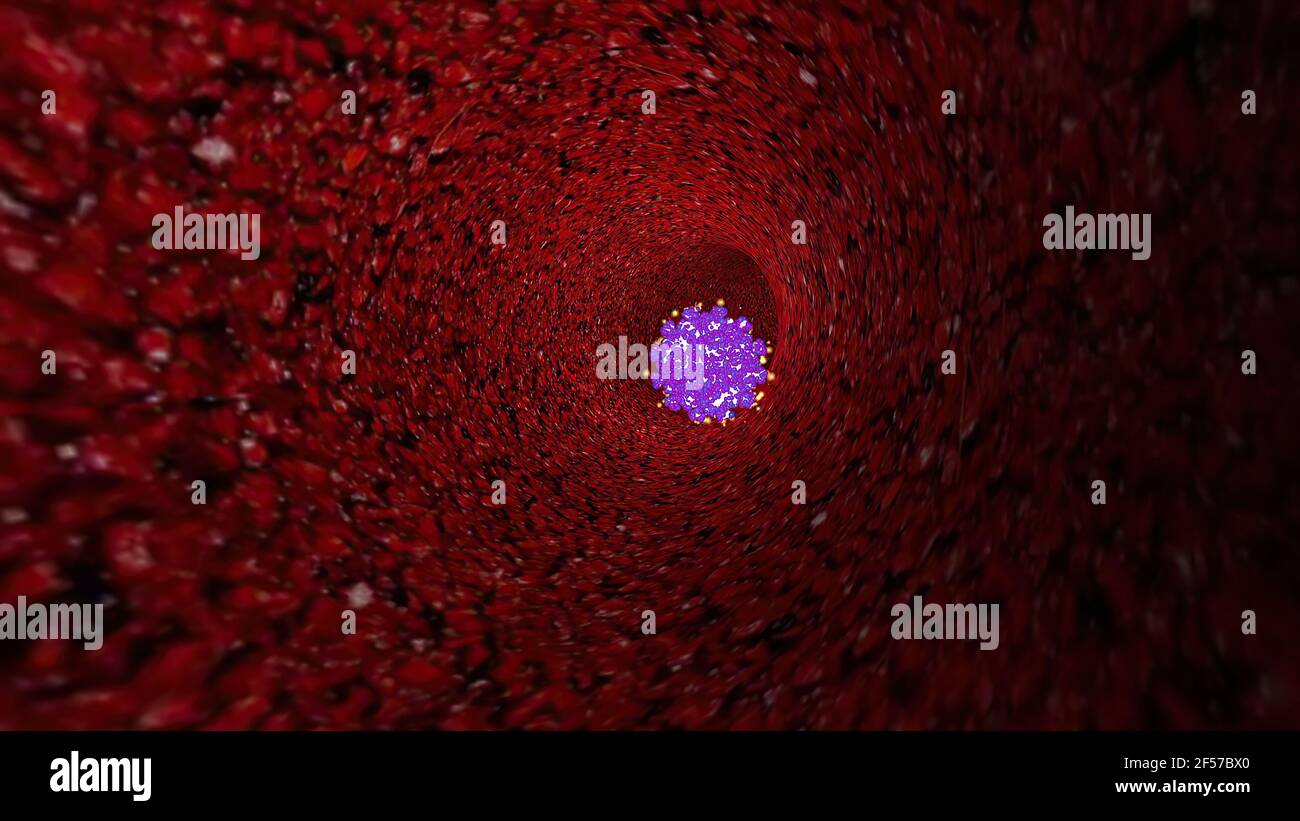 Blood cells vein traveling hi-res stock photography and images - Alamy
