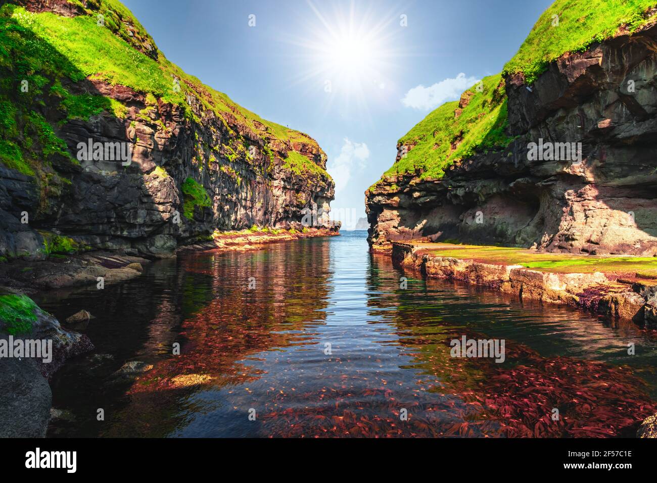 Beautiful view of dock with clear water and red seaweed Stock Photo