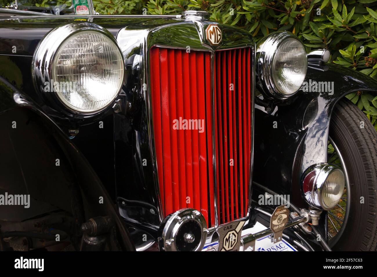 Classic Car Rally High Resolution Stock Photography And Images Alamy
