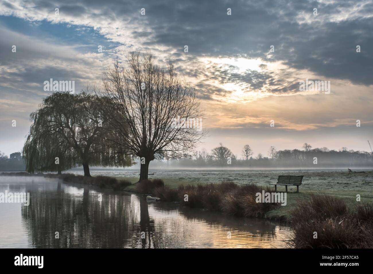 the wonders of nature are so beautiful on an early misty morning at Bushy Park. When on public or private  property I am prepared to take full respons Stock Photo